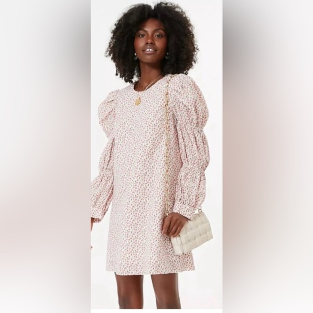 Stunning Hyacinth House x Tuckernuck Clemons textured floral mini dress size L